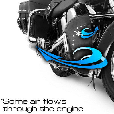 Desert Dawgs - Harley Freewheeler Trike