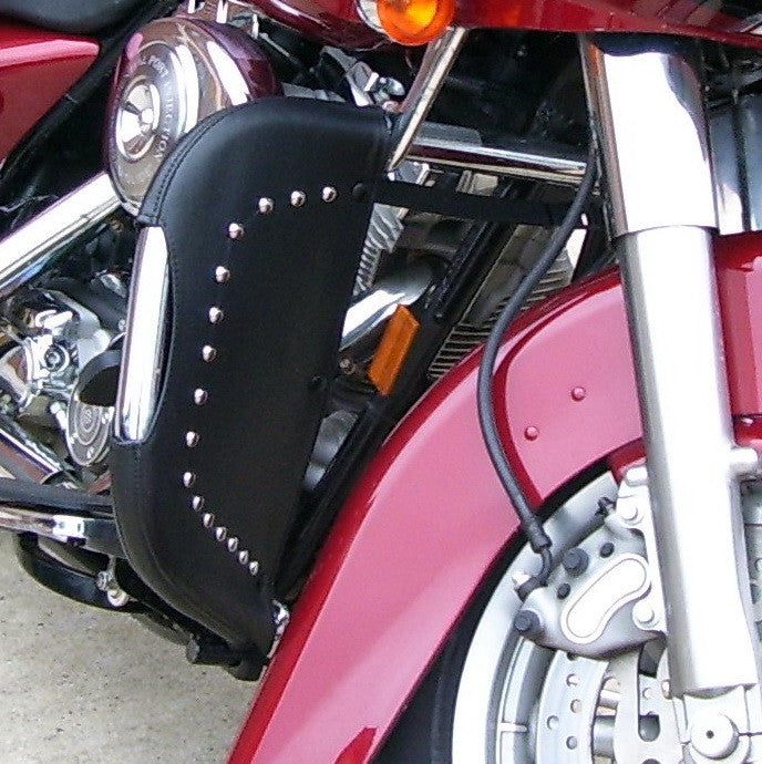 Desert Dawgs - Harley Freewheeler Trike